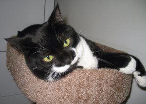 Abby in Bunk 8-20-12