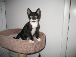 Abby in Her New Bunk Bed