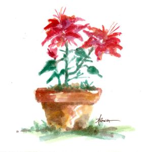 Cracked clay pot by Adele Bower